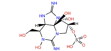 Decarbamoylgonyautoxin 4